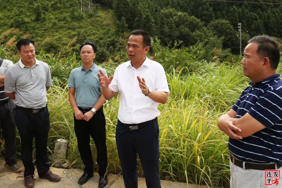 把全倒户房屋重建工作落细落小落具体,确保全倒户早日入住新房_林文泉