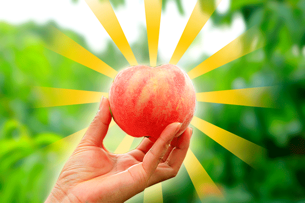 10斤装桃子免费送!从星沙城区出发,10多分钟就能到这片"隐世桃园"