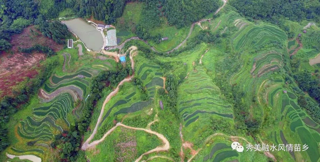 脱贫攻坚丨拱洞乡90后返乡创业带领村民脱贫