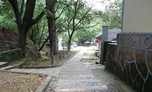 亭楼倚林鸟语花香,环境雅致其林木苍翠,遮天蔽日福缘山庄位于曲靖至