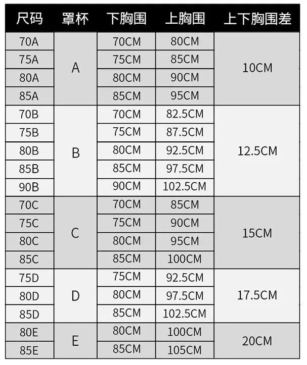 胸围尺码表罩杯图片