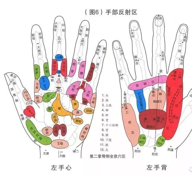 右手掌经络图解及作用图片