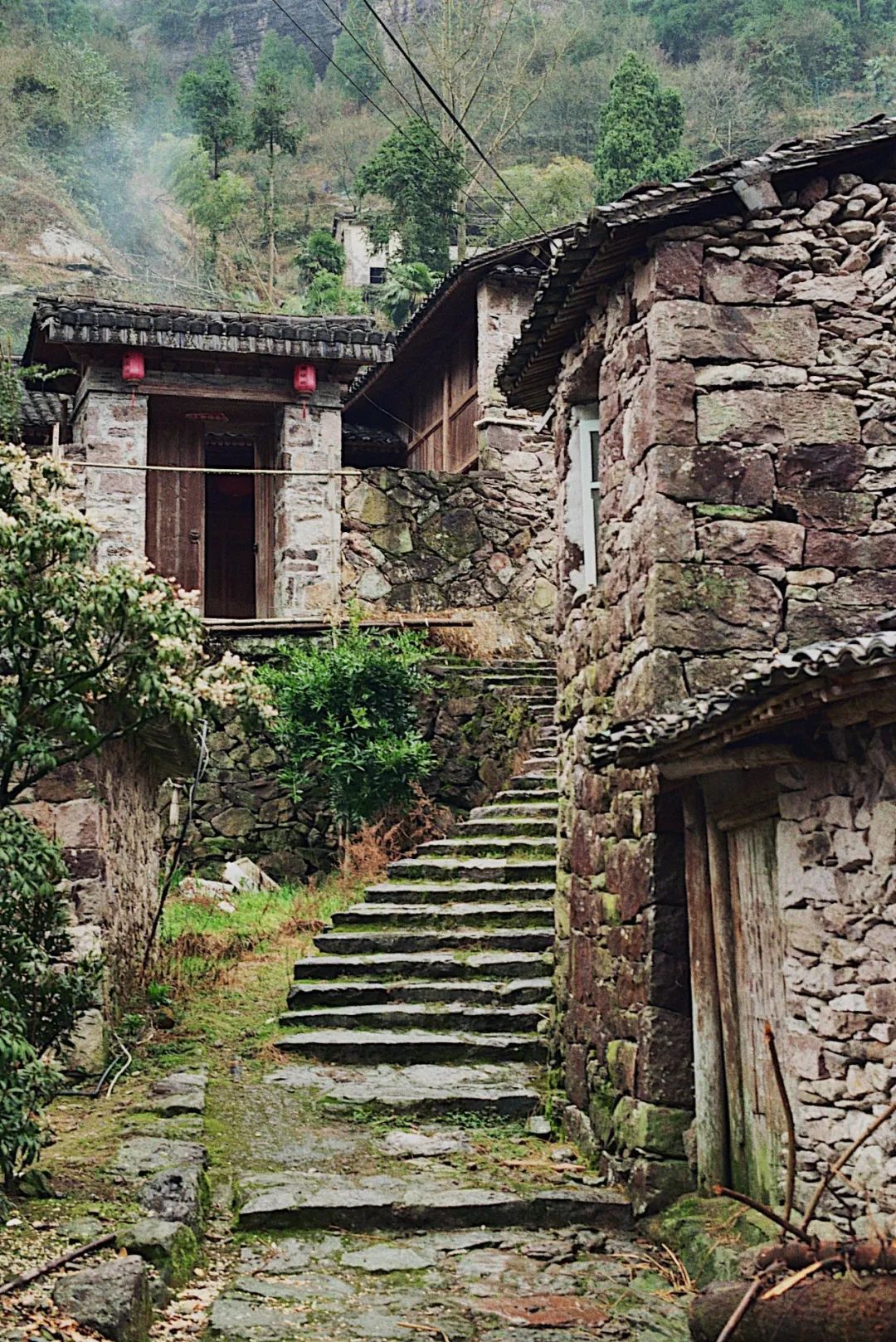 翠郁山谷,千年古村包藏着的半山泳池小院,美貌与气质并重!