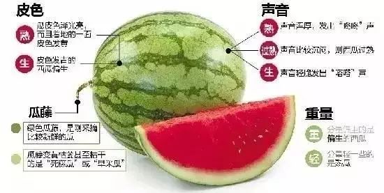 酷日炎炎这种西瓜不能吃6招教你辨别西瓜真假
