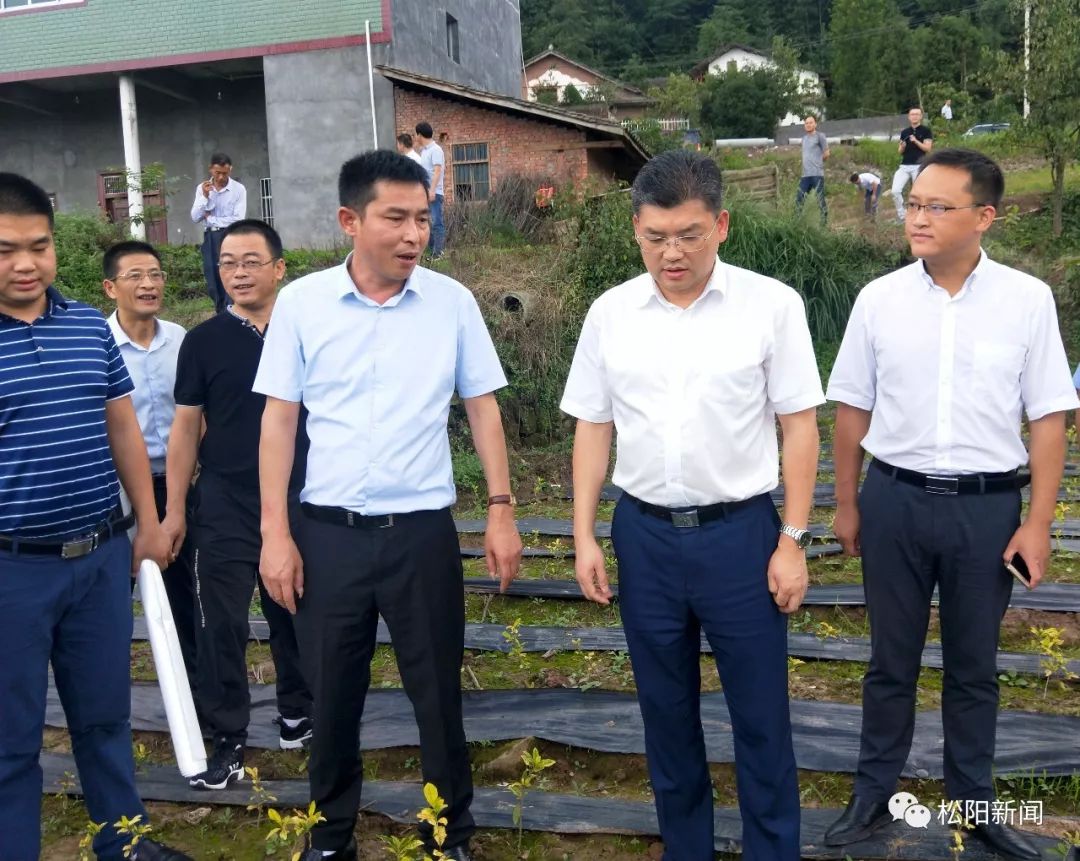 松阳巴州东西部扶贫协作联席会议召开