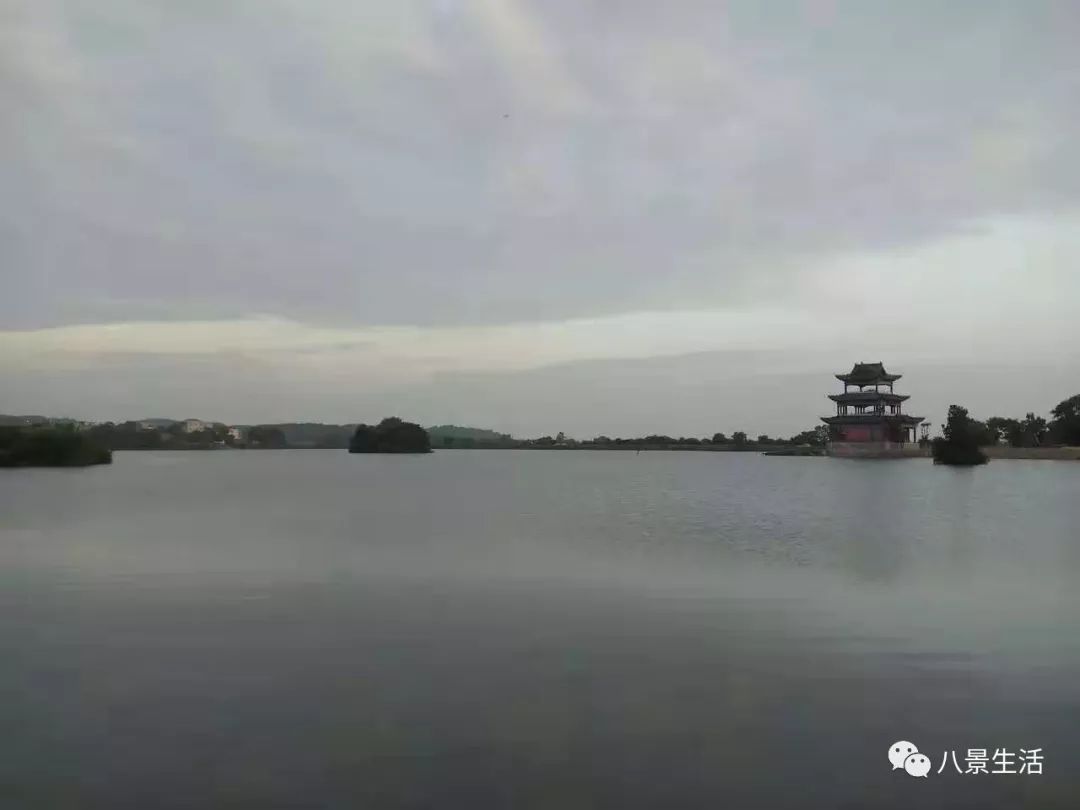 苦等10年高安礼港湖要建八景后花园啦