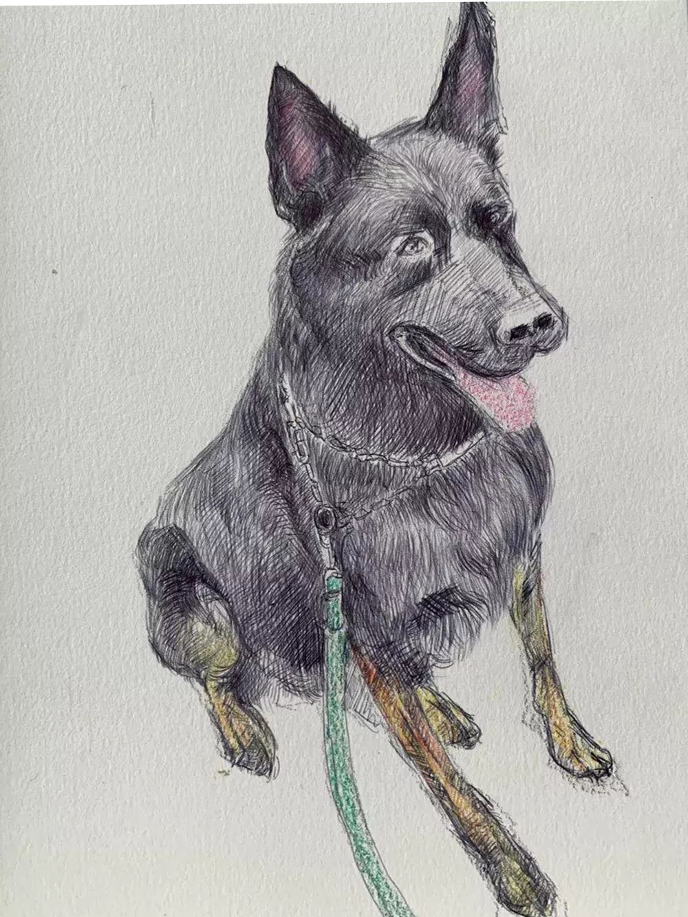 警犬基地的小画家今日补画表敬仰