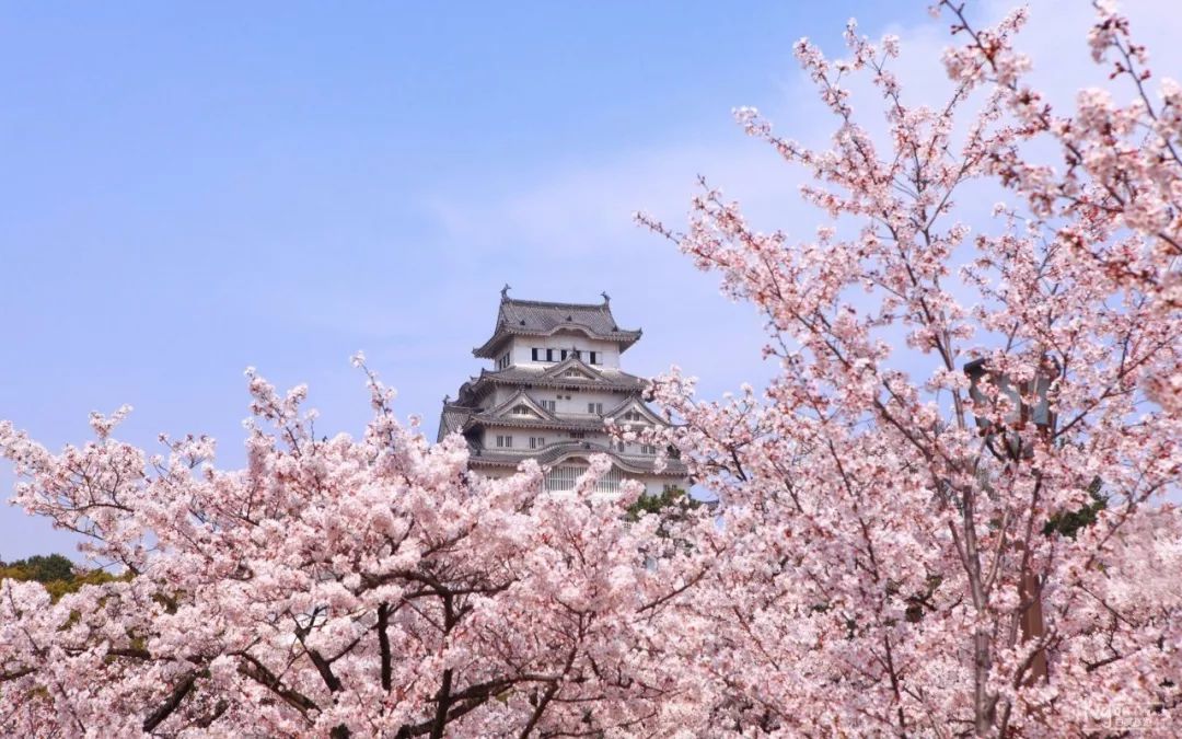 日本之旅 | 盛夏旅行,从这里开始!