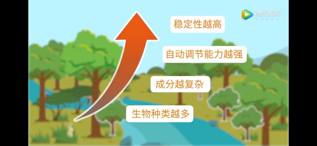 影响生态系统稳定性的因素自然灾害会使生态系统在短时间内遭到破坏