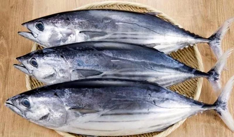 一啸渔乐·海味料理|可以吃的"木鱼"?