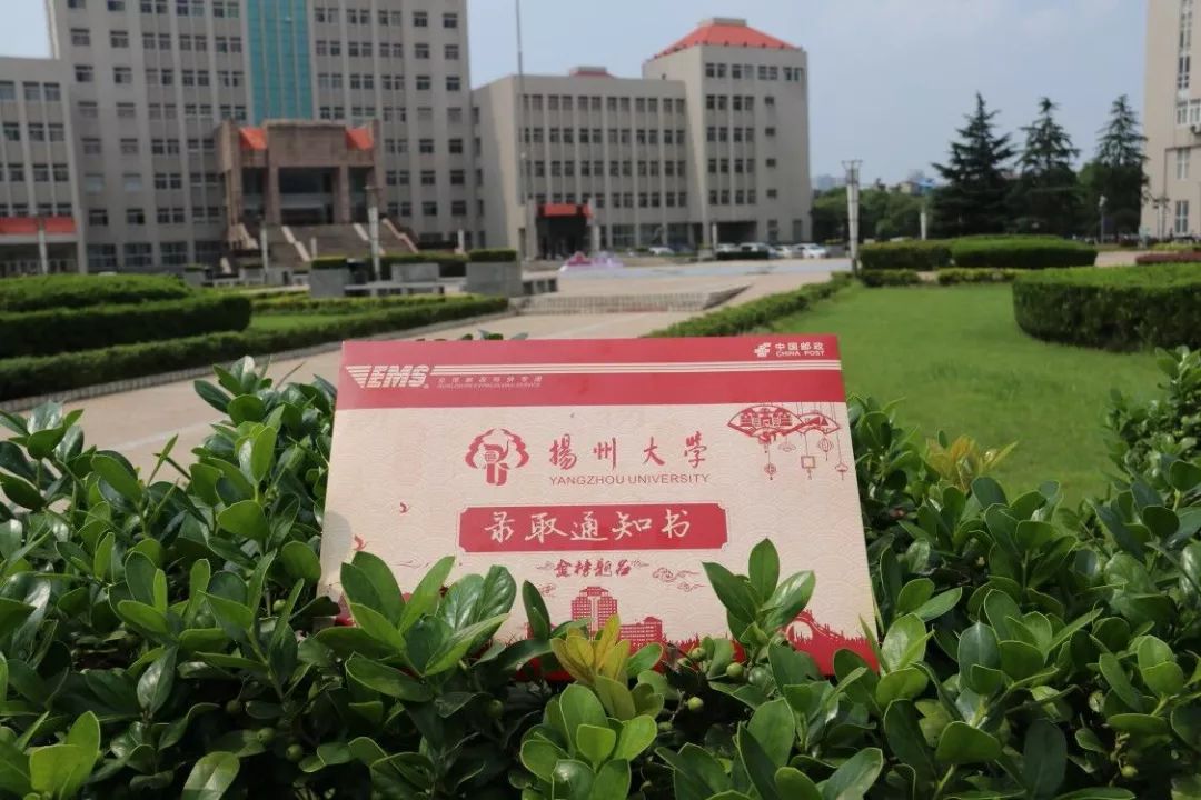 扬州大学 录取通知书图片