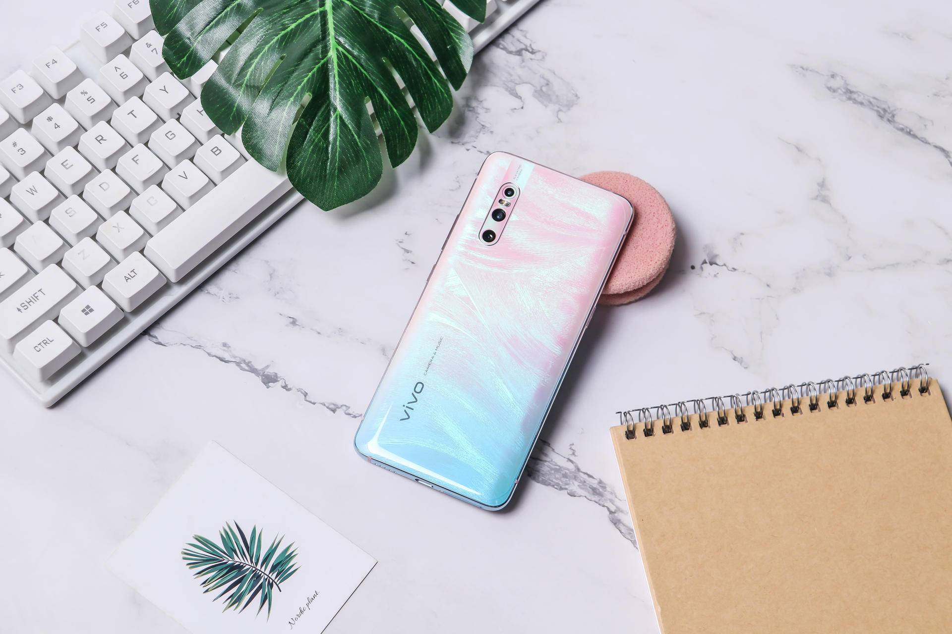 上海弄堂的居民自治 | 一顿小龙虾,辣与不辣,兼顾本地人和外地人