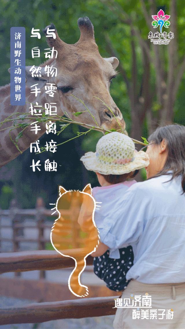 暑假不能宅在家济南市文旅局发布遇见济南醉美亲子游系列动态海报