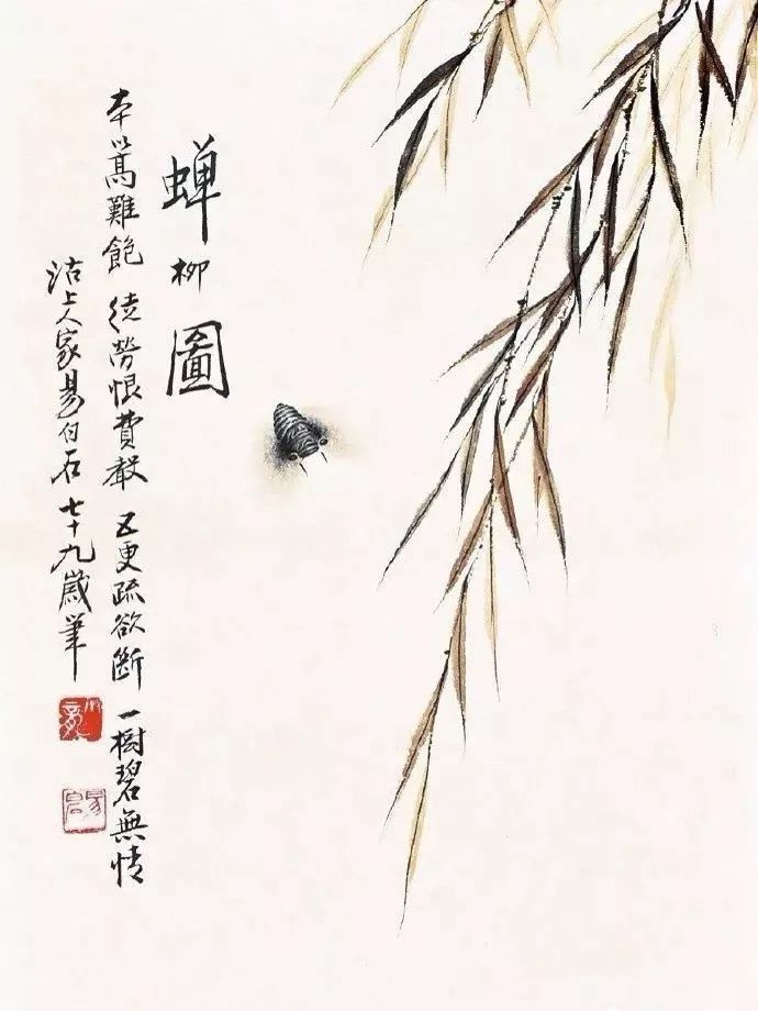 蝉柳图赵少昂 蝉蝉溥儒 蝉蝉蝉赵少昂 蝉江寒汀 蝉蝉唐云 蝉王雪涛 蝉