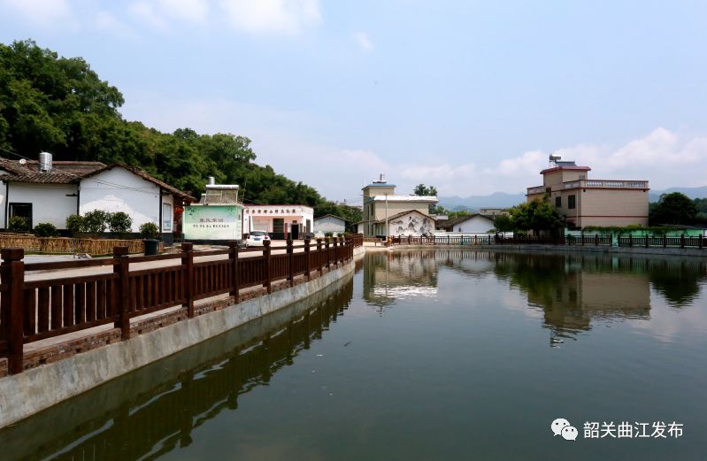 全民参与建设美丽家园枫湾镇农村人居环境整治见闻