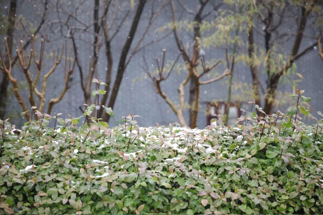 拿好,不谢.万里雪飘的冰冰凉凉百果山.小编特意为大家准备了千里冰封
