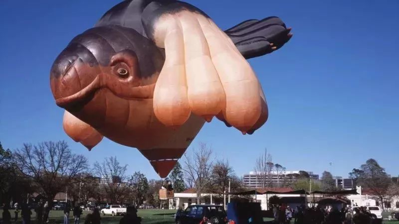 另一个cameron balloons公司的"奇作"——"飞翔的鲸鱼"热气球:don