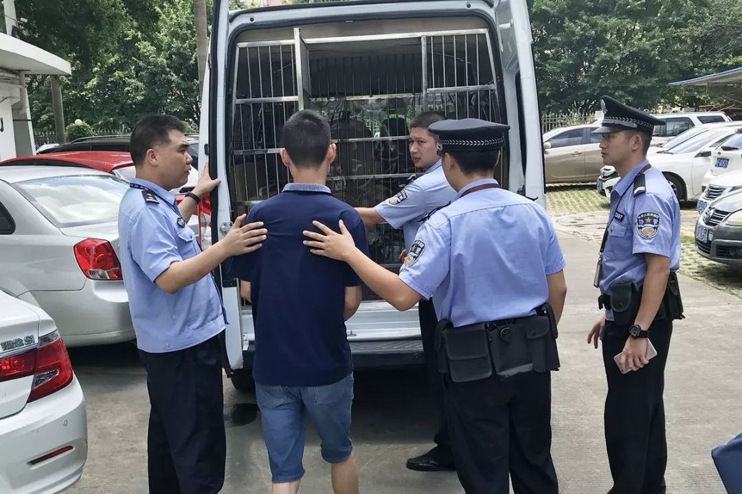 执行攻坚迎着朝霞去执行你就是我们要带走的人