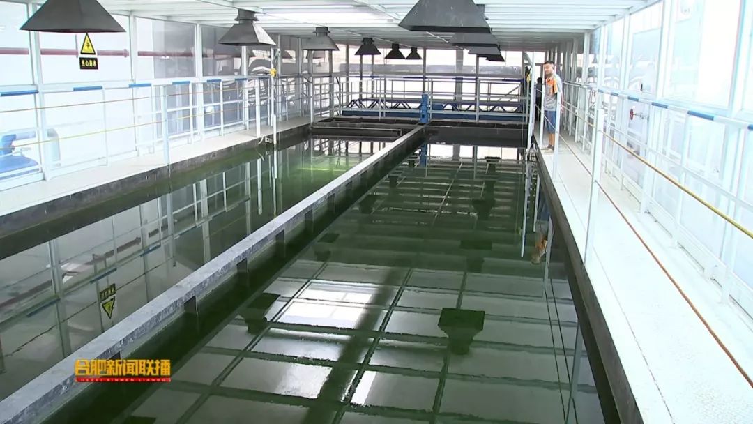 藻水分离变废为宝,提升水质改善环境!_处理