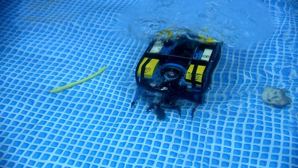 大连战队真姿势_机器人