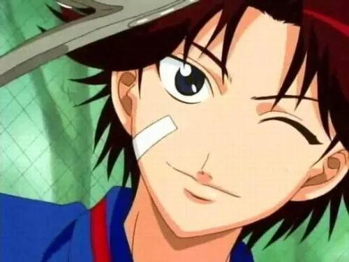 大石秀一郎--池大勇不二周助--卓治手冢国光--穆司阳桃城武--乔晨越前