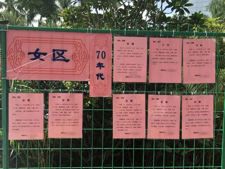 警方出手整治,莲花山公园相亲角升级上线!