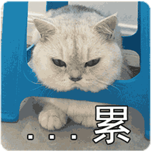 iphone终于上线这功能可惜安卓都用烂了