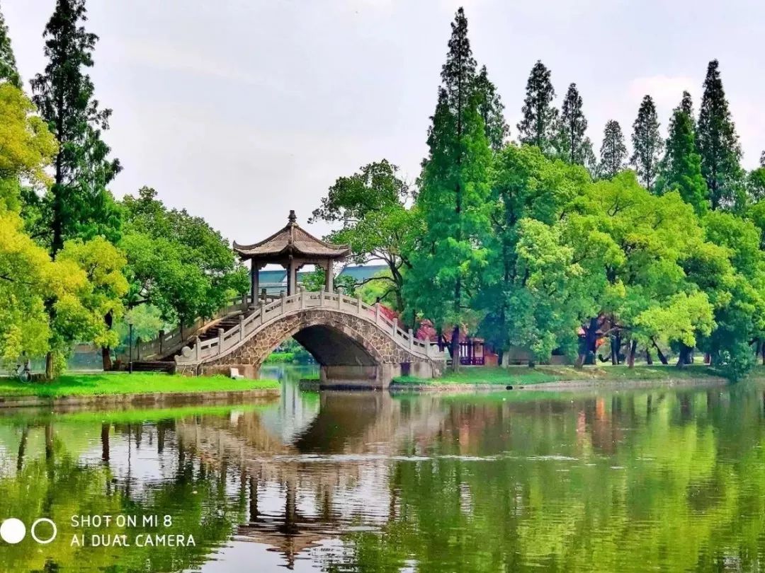 这个夏天怎么过近江多水的荆州有这些避暑纳凉的好去处