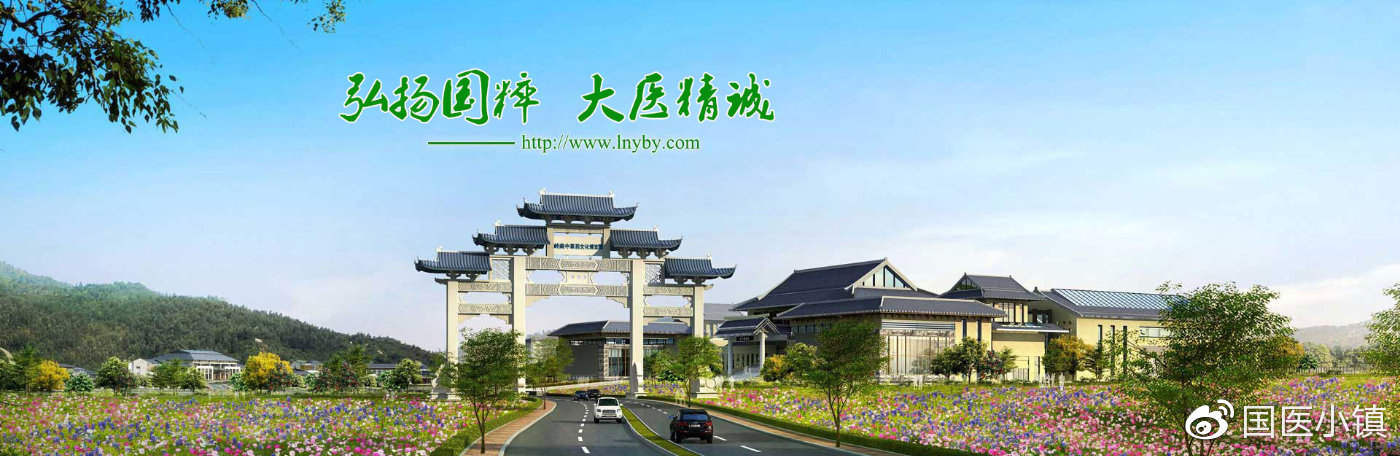 国医小镇旅游区