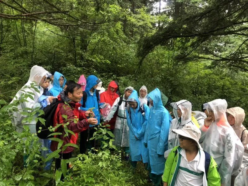 暑期科考神秘秦岭进山下水科研范儿