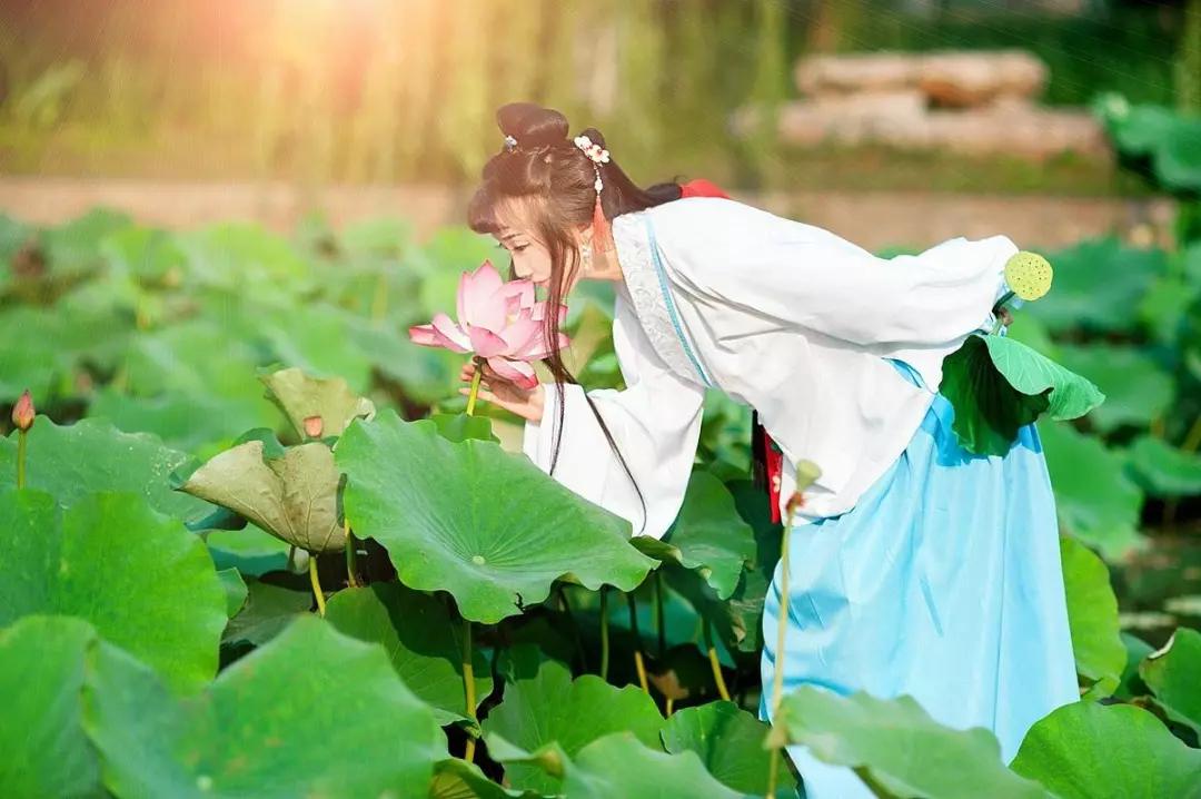 深圳7月展讯 | 夏荷浮翠——王荣昌水墨荷花展