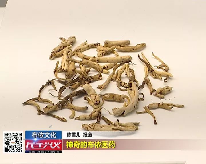 避瘴的薤叶芸香和止血疗伤的小花清风藤也被学术界发现具有安神养脑