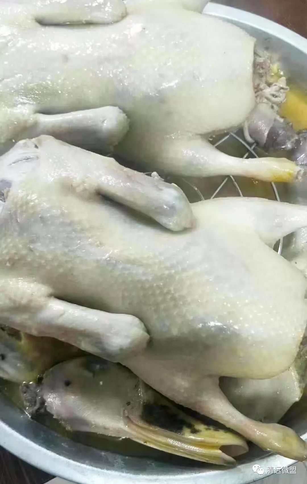 清远这间农家菜原生态食材地道烹饪总有一天你会过来吃