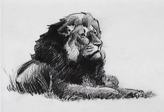 看完《狮子王》总觉得少了点什么?答案在这里_辛巴