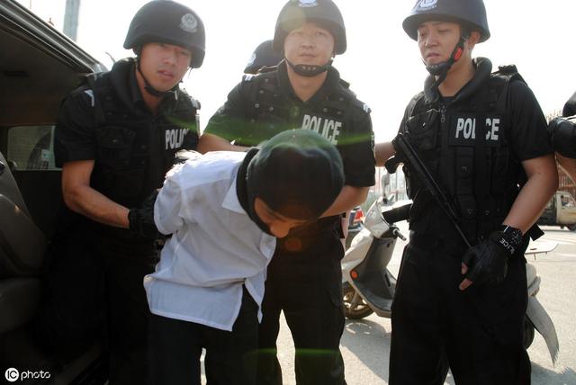 批准逮捕靖远毁坏枸杞树的犯罪嫌疑人摊上大事了