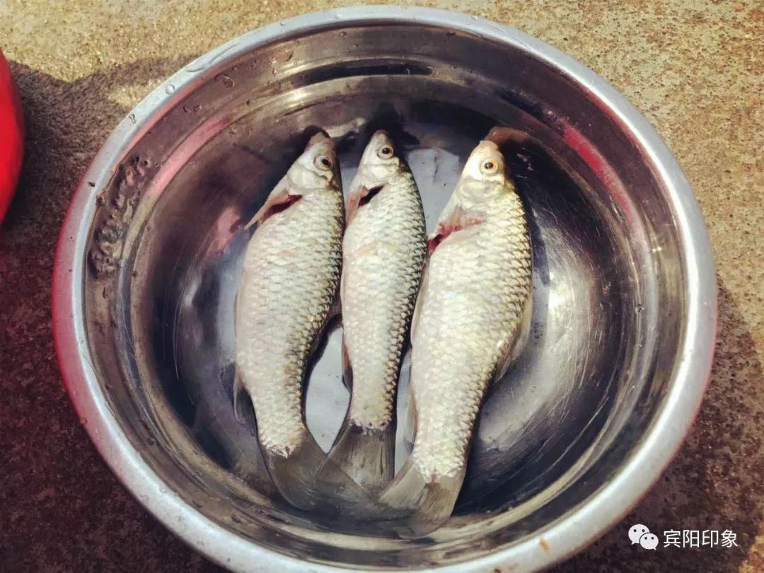 宾阳邹圩清水河的夏天