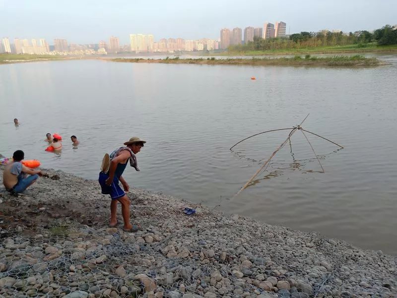夏天涨水是搬罾捕鱼的好时候,耗子哥小时候经常看见嘉陵江边搬罾捕鱼