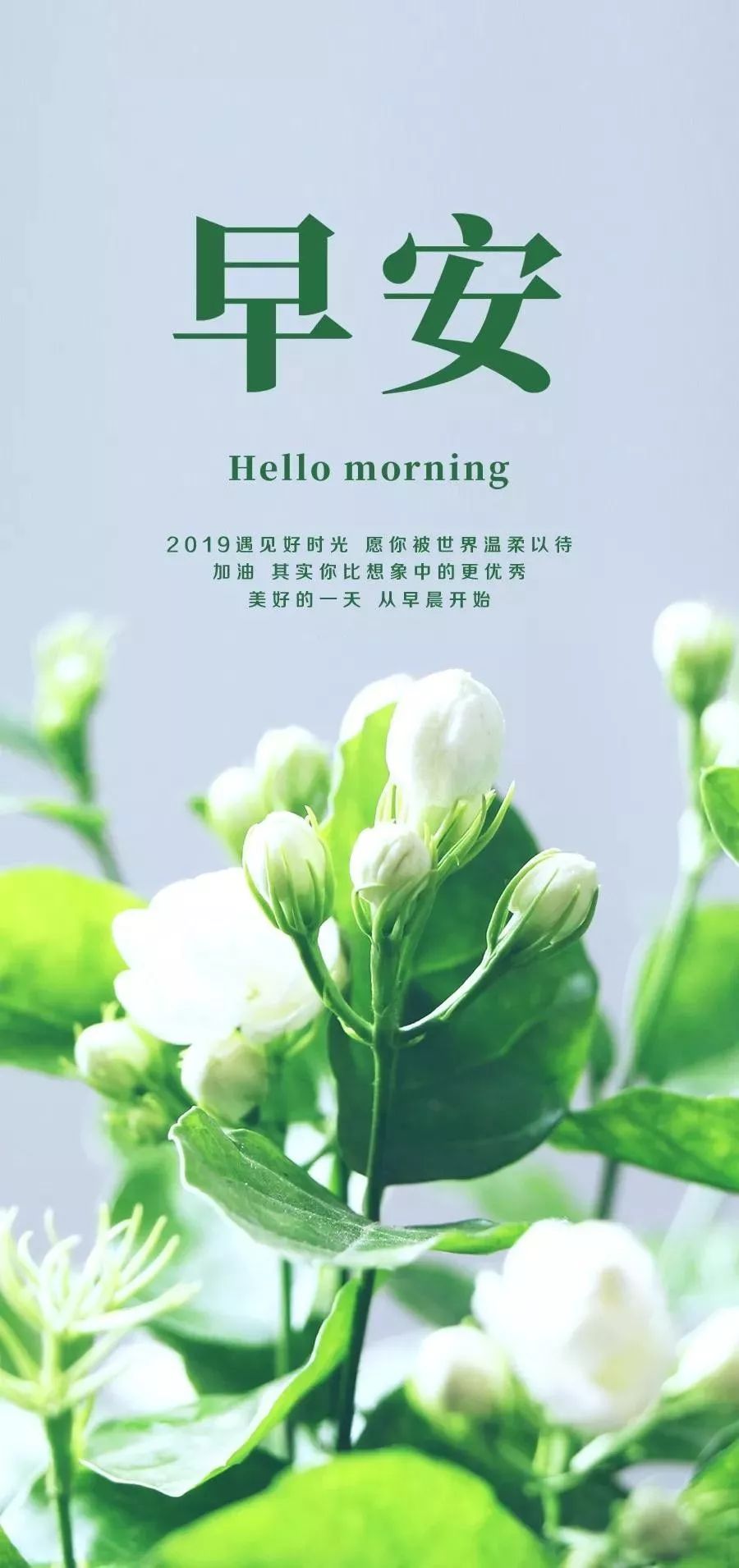早安晚安发圈励志文案与素材