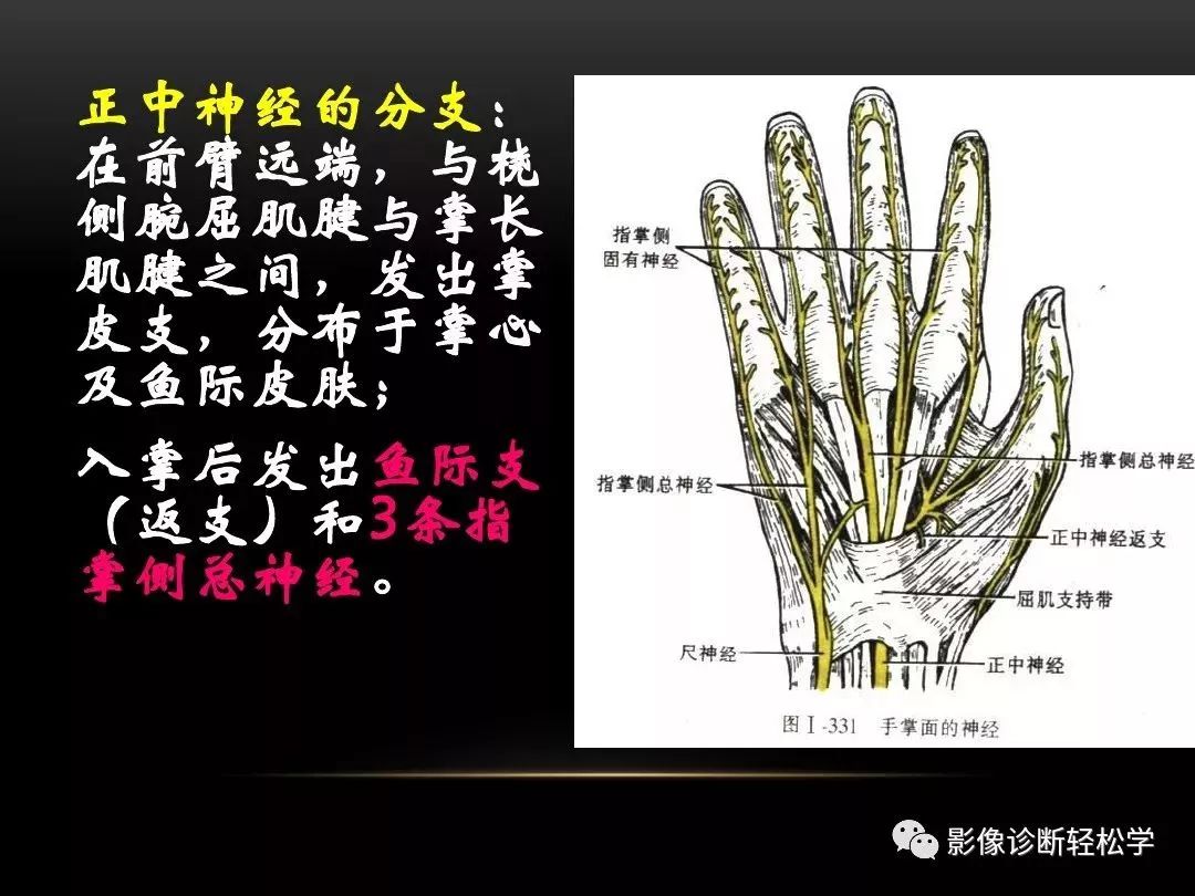 腕關節病變的mri診斷和解剖_影像