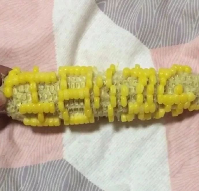 这玉米啃的也是有技术了,果真是最节约的生日礼物了~▼送给女朋友的