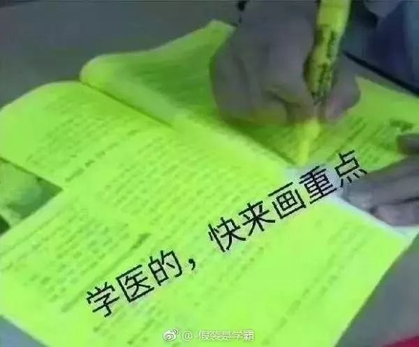 医学生背书表情包图片