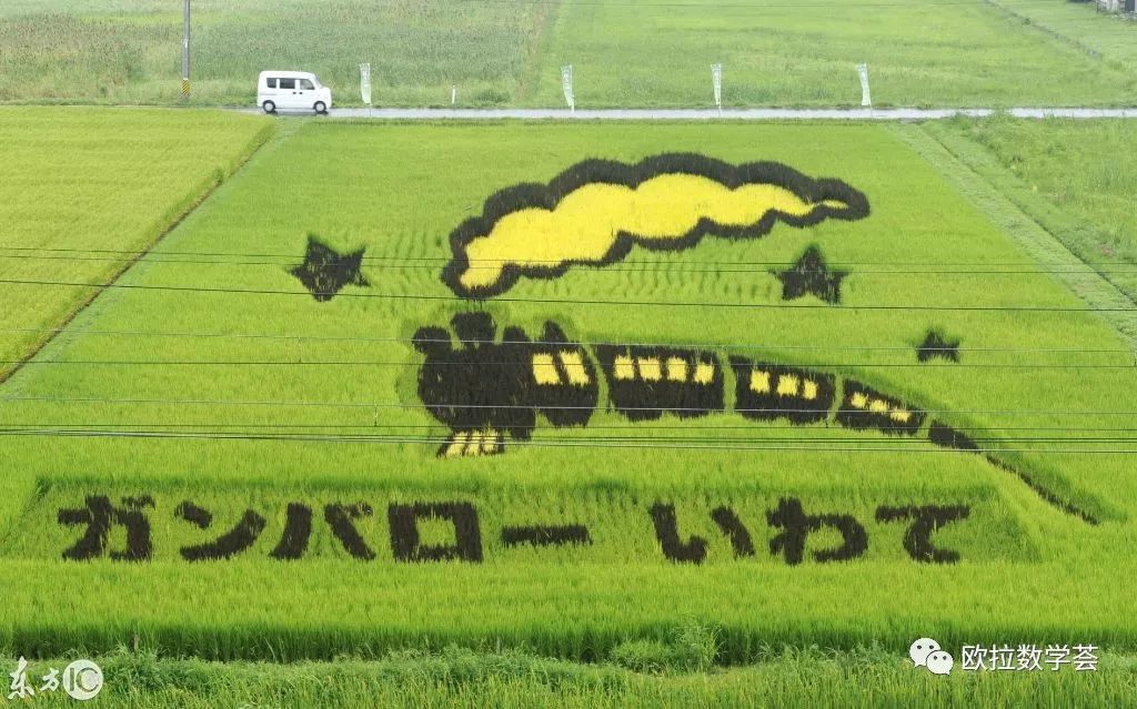 绝美的"稻田画",来自农民兄弟的艺术想象力