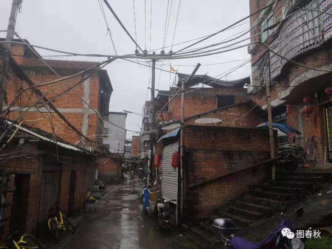 走进鳌江村体验面朝大海也有烟火生活气息