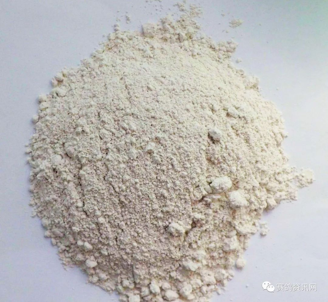 【竞赛锦囊】妙用盐土让您的鸽子健康生长