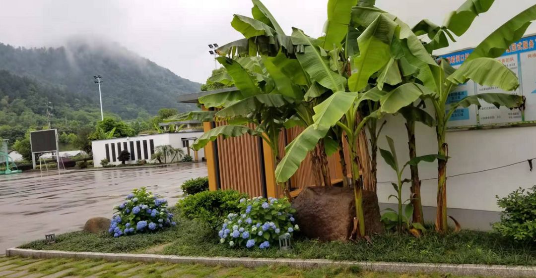 永康荆山夏村别墅图片