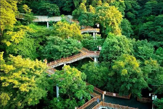 福建龙岩有一座形如莲花的天马山闽西第一大寺莲山寺