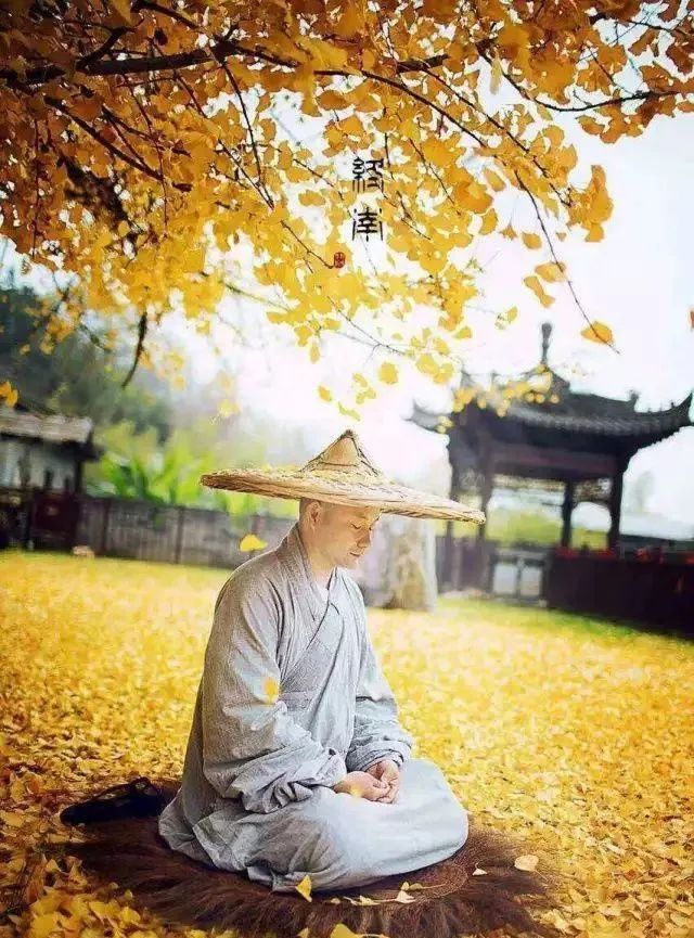 五首禅诗融汇诗意与禅意领悟五种人生境界