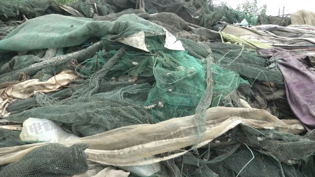 顶风作案大量渔网垃圾堆积高邮湖破坏生态环境