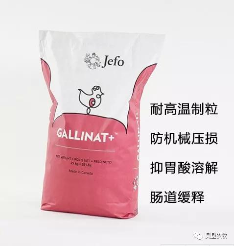 防控大肠杆菌不用愁欧乐宝为您解烦忧