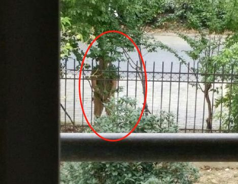 肥东街头惊现变态男见孤身女性就脱裤子裸露下体